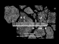 REALINHAR - TELEMÁTICA - CHINA