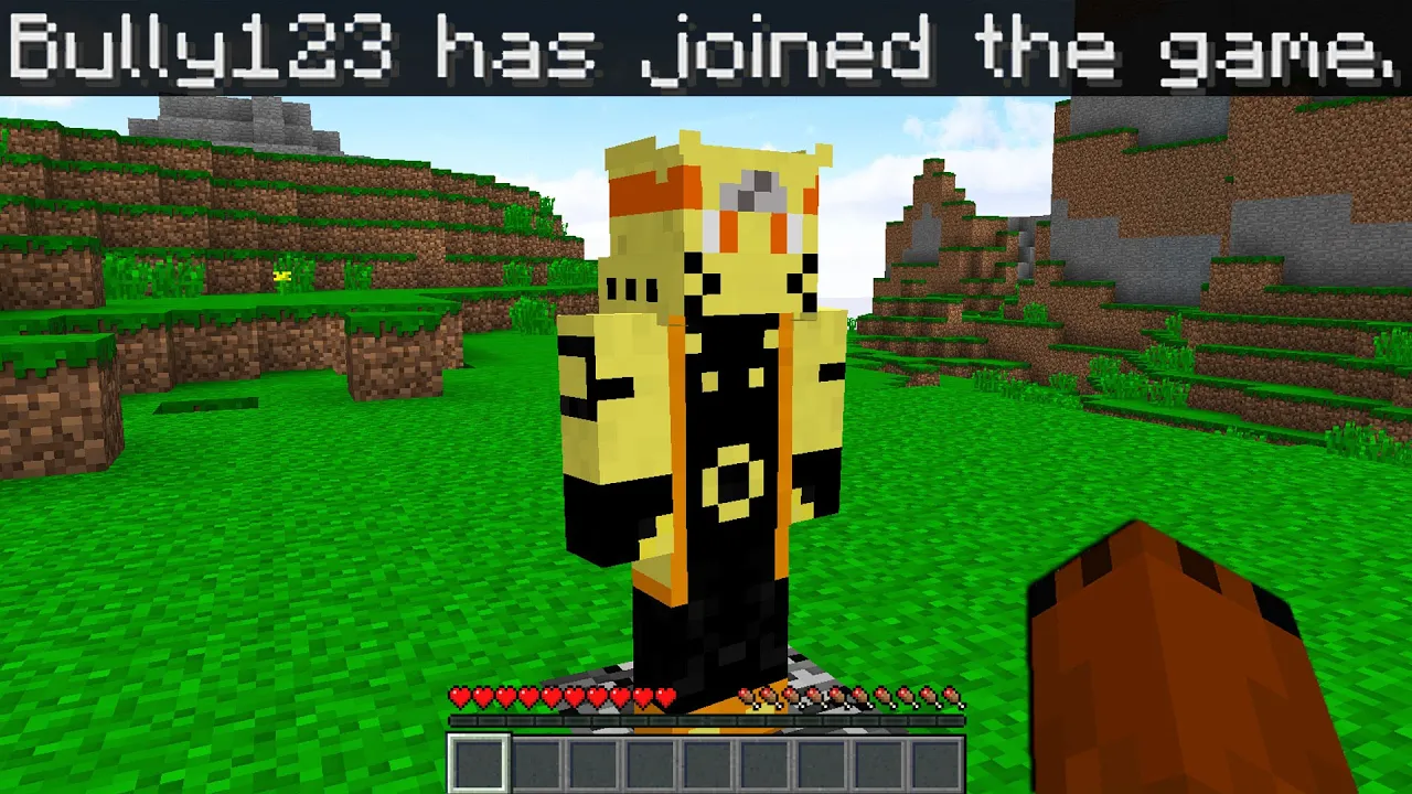 so.. my high school bully joined my minecraft server and did this...