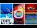 Kompilasi Station ID Indosiar versi Ikan Terbang (1996-2012)