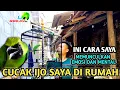 Download Lagu INI CARA SAYA UNTUK MEMUNCULKAN EMOSI DAN MENTAL, CUCAK IJO YANG SUDAH GACOR