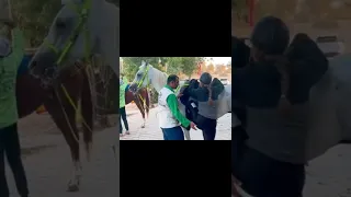 هنالك لمسه يد متعمده 