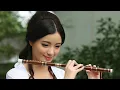 Download Lagu YOU WILL NEVER UNDERSTAND ME (cover chinese electric flute  remix)