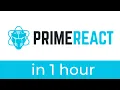 Learn Prime React in 1 hour UiBrains NAVEEN SAGGAM