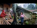Download Lagu Wah.. Seenak Ini, Suasana Damai Di Desa, Tentram Hidup Di Kampung Indah, Suasana Pedesaan Jawa Barat