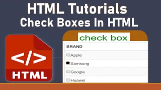 HTML Tutorial For Beginners Checkboxes In HTML