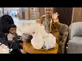 Lagu أول هدايا السعودية 🇸🇦 يوم كله مفاجآت 😂💓