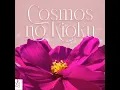 Download Lagu JKT48 - Cosmos no Kioku
