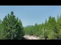 Lolo National Forest Trail Drive MT BDR
