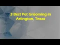 3 Best Pet Grooming in Arlington Texas Pet Salons