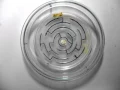 Slime mould solves maze original