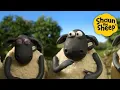 Lagu 🚜🐔 Farm Life Is Never Boring! 🐑 Shaun the Sheep 🐑  🐑 Full Episodes Compilation [1 hour]