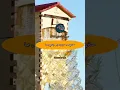 Download Lagu surah nahl ayat 68-69