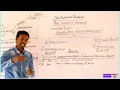 zero Conditional sentences Abdirahman Sameeco
