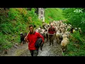 Download Lagu Ziegen im Grünen Tal – Das Erbe des Großvaters | Dokumentarfilm