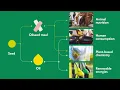 Download Lagu Avril's Activities : at the heart of plant processing