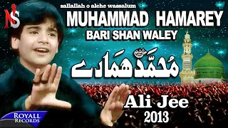 Ali Jee Muhammad Hamarey 2013 محمد ہمارے 
