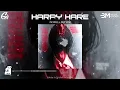 Download Lagu Harpy Hare Phonk 1 Hour - NoAki x SKYVER || Nhạc Remix Phonk Hot TikTok 2025
