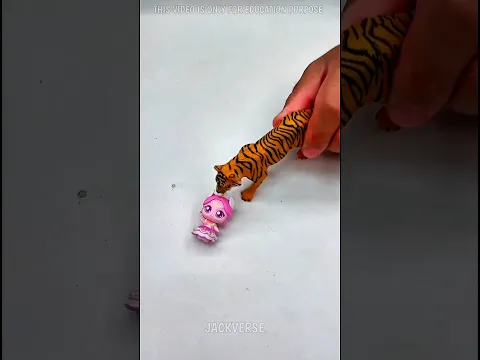 🐯 Sister Tiger Can’t Catch the Fairy Doll! 😂🧚