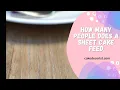 How Many People Does A Sheet Cake Feed