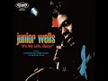 Junior Wells - Shake It Baby [It's My Life, Baby!]
