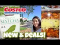 shop with me costco new arrivals costco deals may 2026 costco summer sale