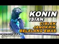 Download Lagu KONIN GACOR FULL ISIAN CIBLEK - JANGKRIK - BELALANG EMAS COCOK BUAT MASTERAN KOLIBRI NINJA PASTOL