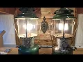 Coleman Lantern 220E 220F Comparison