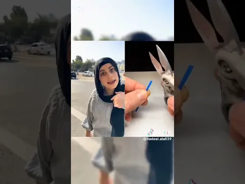 ام سيف #اكسبلور