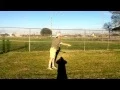 IMG - 1831