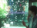 Chroma drift - PLAVE (slowed + reverb) with lyrics