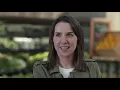 The UPS Store Grocery Shopping