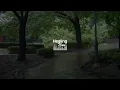 Rain Sounds on a Park & Earthy Scent ASMR | Perfect Relaxing Time in Nature, Healing White Noise