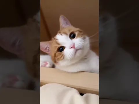 Efek Krim Berlebihan! π³