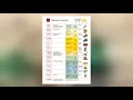 Hebrew Calendar