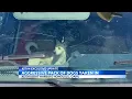 Owner takes action on aggressive pack of dogs living at abandoned area of Oahu boat harbor