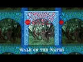 Creedence Clearwater Revival - Walk On The Water (Official Audio)