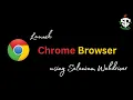 How to launch Chrome Browser using Selenium webdriver