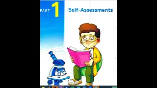 Grade 6 Self Assessment S Answer حل كتاب الامتحانات المعاصر سنة ستة 