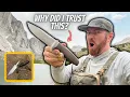 Lagu Can The LIONSTEEL ACHA Survive The Wyoming Wilderness!?