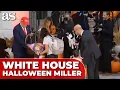 STEPHEN MILLER goes AS HIMSELF while Katie STUNS as SKELETON at White House Halloween with TRUMP