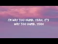 Travis Scott, HVME - Goosebumps Remix (Lyrics)