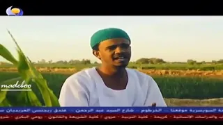 حسين الصادق   عصير القصب   كليب دندنها