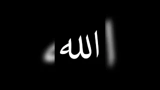 لك في قلبي دار   مجلس ذكر   الشيخ حسان الس روجي دندنها