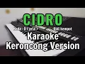 Download Lagu Cidro ( Didi kempot ) KARAOKE KERONCONG Nada pria