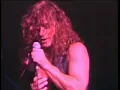 Quiet Riot the wild and the young