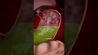 چه چیزی واقعا  باعث نفخ شما می شود  دندنها