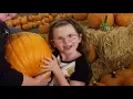 Fresno-Clovis Pumpkin Patch The Grove of Old Town Clovis Pumpkin Patch