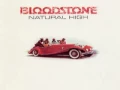 Bloodstone ~ Natural High (1973) Soul R&B  Slow Jam