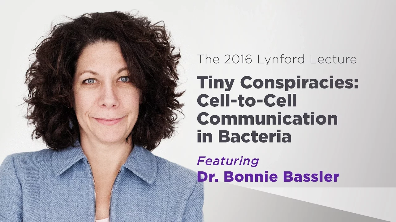 Tiny Conspiracies: Cell-to-Cell Communication in Bacteria