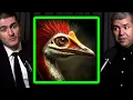 Download Lagu Are birds dinosaurs? | Dave Hone and Lex Fridman